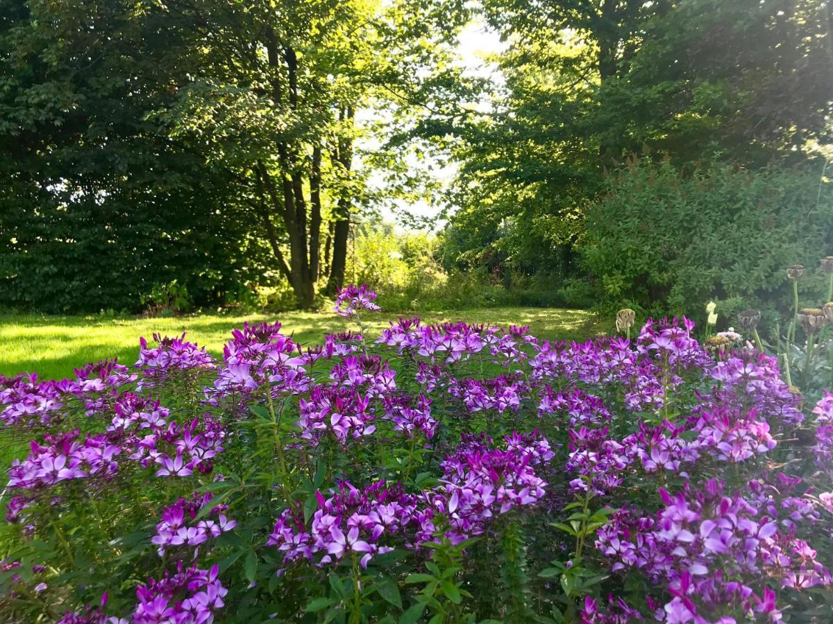 "Un Matin Au Jardin" Acomodação com café da manhã Francorchamps Exterior foto